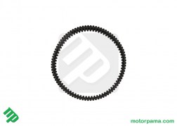 cinghia trasmissione access (2)